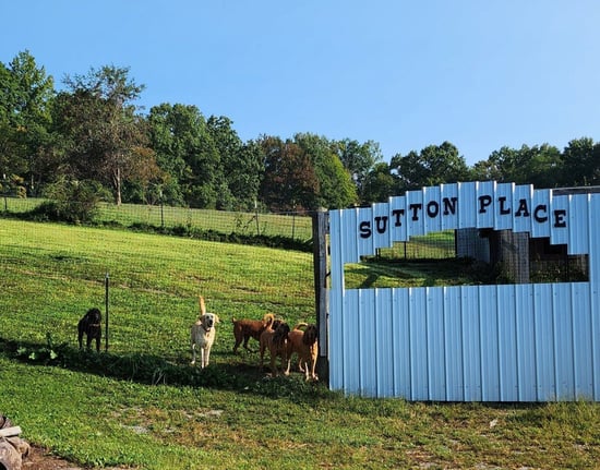 Sutton Place Pet Boarding