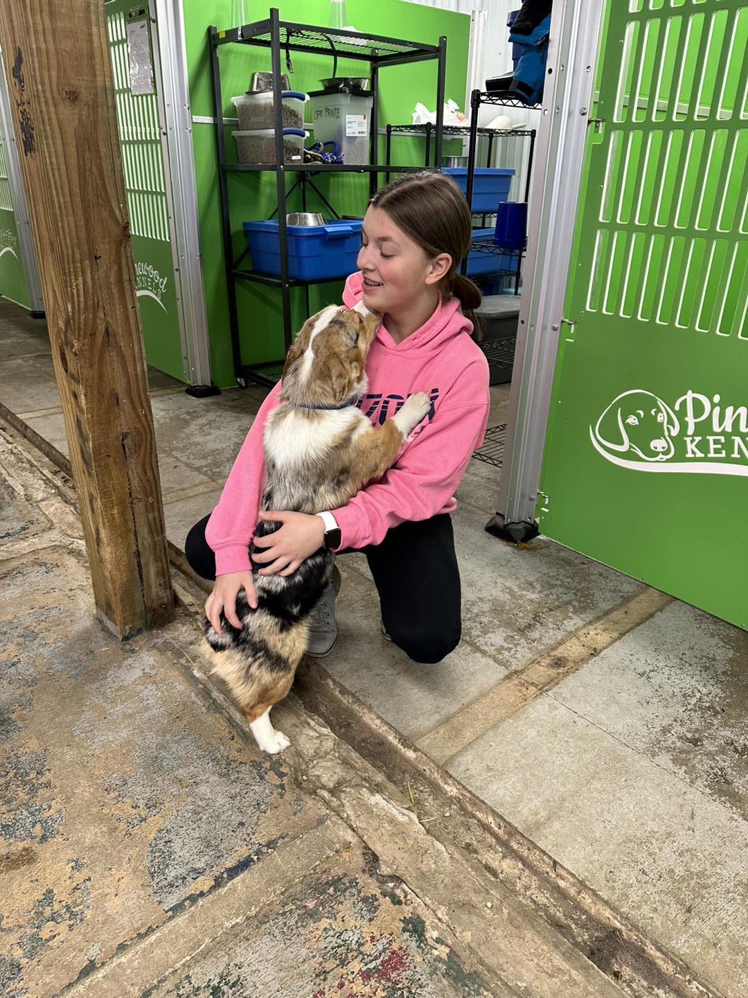 Pinewood kennels sales
