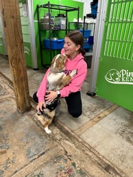 Pinewood Kennels - A Home and Daycare Facility for Happy Dogs