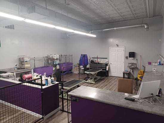 Clippin House pet grooming area