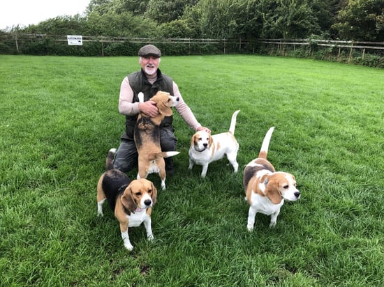 Fingland Pet Hotel