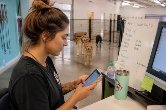 front desk worker at dog daycare on phone