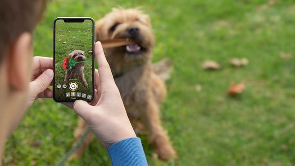 Unleashing Success: Advertising Tips for New Pet Businesses with Revelation Pets