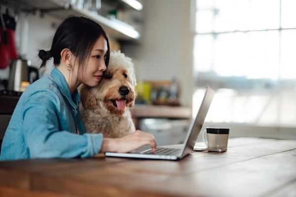 Unlocking Business Insights: The Power of Reports in Revelation Pets