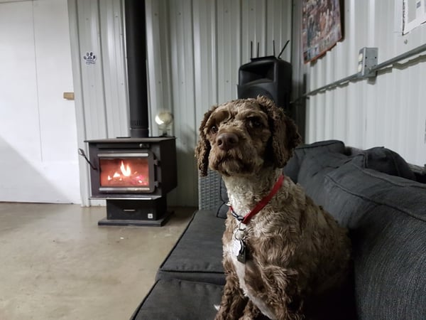 Sturgeon County Kennels Thrives with Revelation Pets