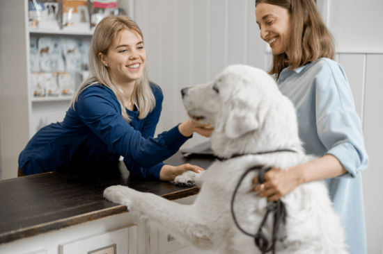 A woman checks in with a front desk receptionist with her dog
