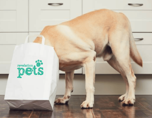 Pet-Care Business Retail Ideas to Maximize Your Revenue