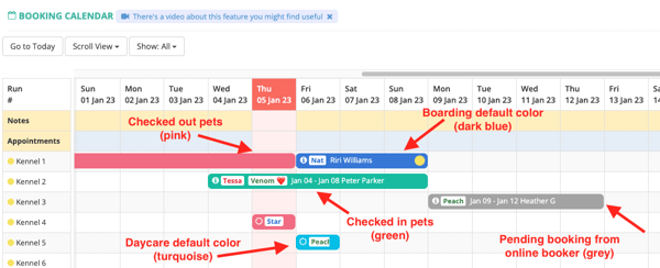 Icons and Color Coding in Revelation Pets: Simplifying Pet-Care Management