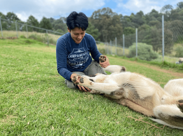 Barking Up the Right Tree: Perro Urbano Santa Fe's Adventure with Revelation Pets