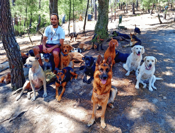 Recreio Canino's Bark-tastic Tale with Revelation Pets