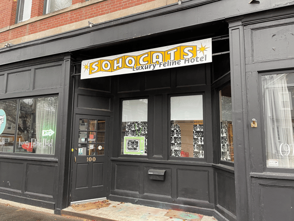 SoHoCats Luxury Feline Hotel