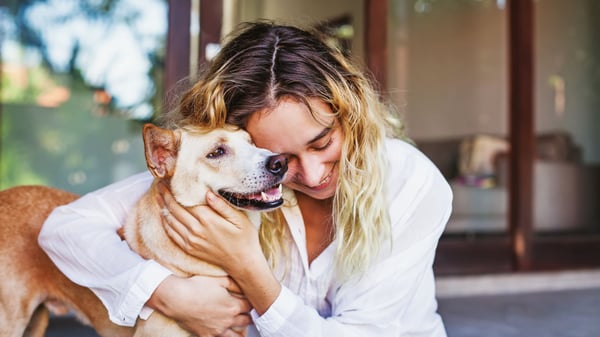 Unveiling the Power of Tips: Elevating Your Revelation Pets Experience