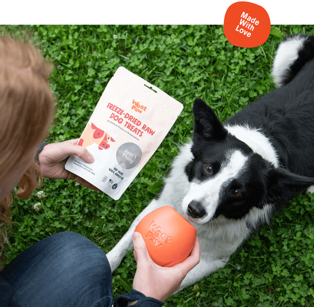 9 Best Pet Supplies Companies for PetCare Businesses