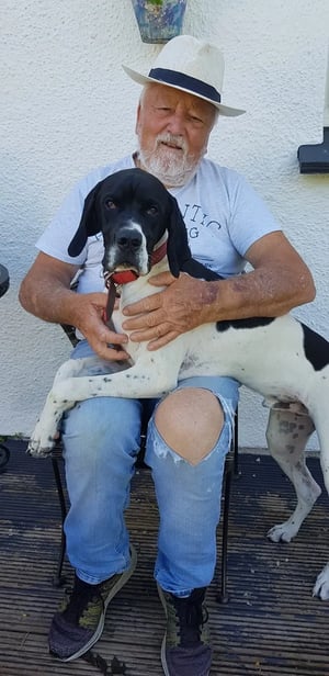 Unleashing Convenience: The Journey of Doggiemotel in Cornwall, UK