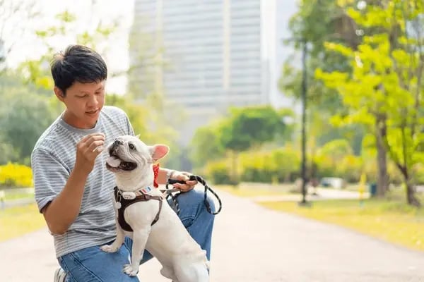 4 Fresh Strategies to Keep Your Pet Business Competitive