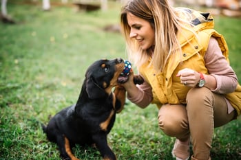 5 Dog Behavior Tips for Kennel & Dog Daycare Attendants