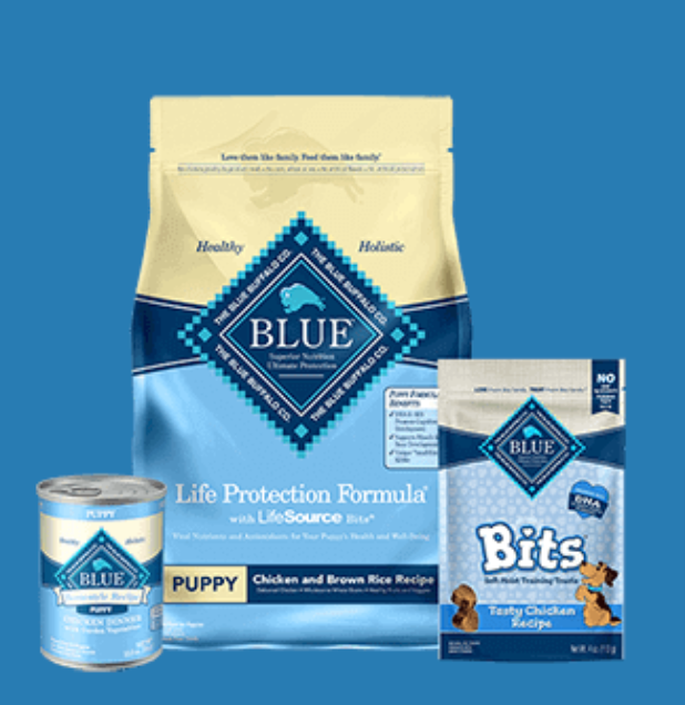 9 Best Pet Supplies Companies for PetCare Businesses