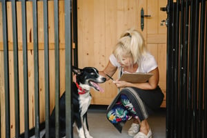 The Benefits of Cage-Free Kennels for Dog Boarding Businesses