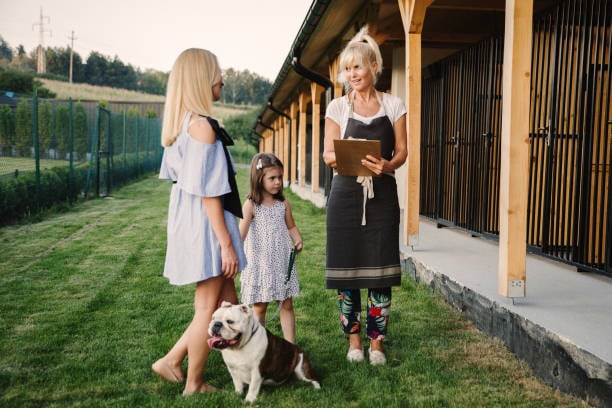 Cost-Efficient Practices in Dog Boarding