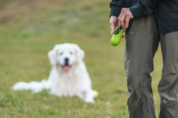 A man pulls out a biodegradable dog poop bag