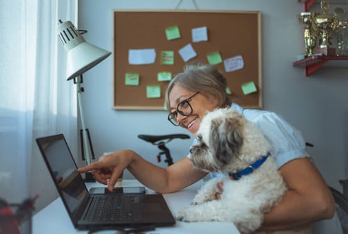 Why Email Marketing is Essential for Pet-Care Professionals