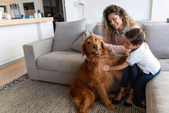 A kid and adult pet a dog