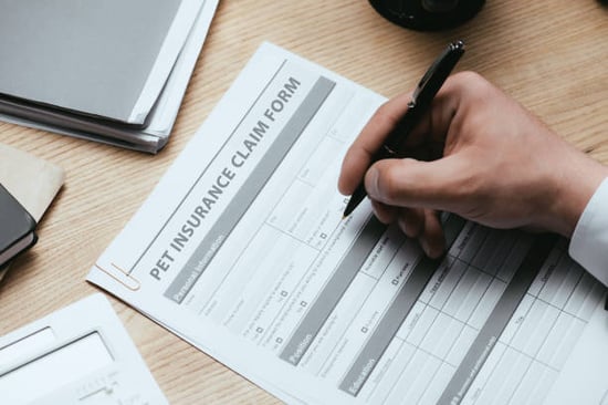 person filling out pet insurance claim form