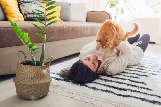 A woman plays with a cat on the floor next to a potted plant