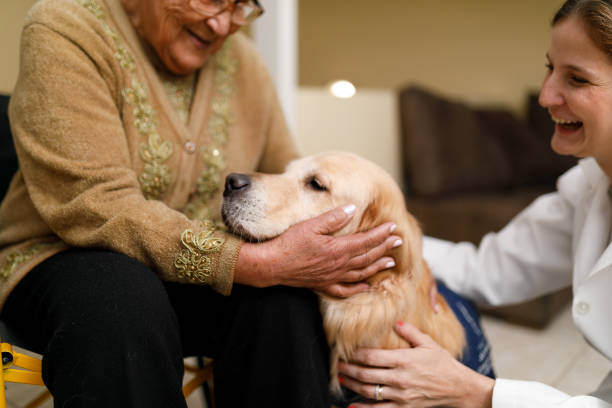 Animal-Assisted Therapy: Dogs Making a Difference