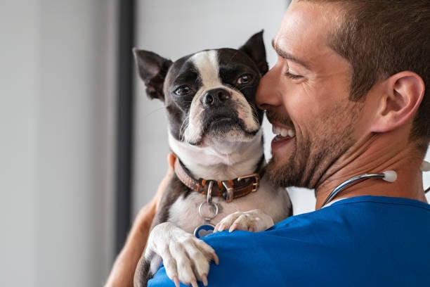 Mastering the Art of Handling Difficult Dogs in Pet Care
