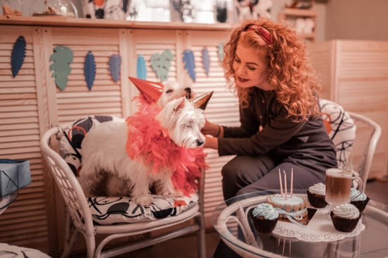 pet business owner hosting birthday party for pup client