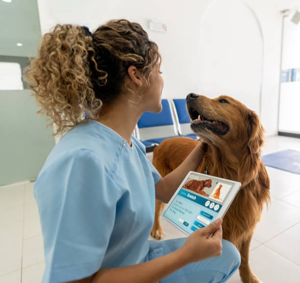Integrating New Technologies into Dog Daycare