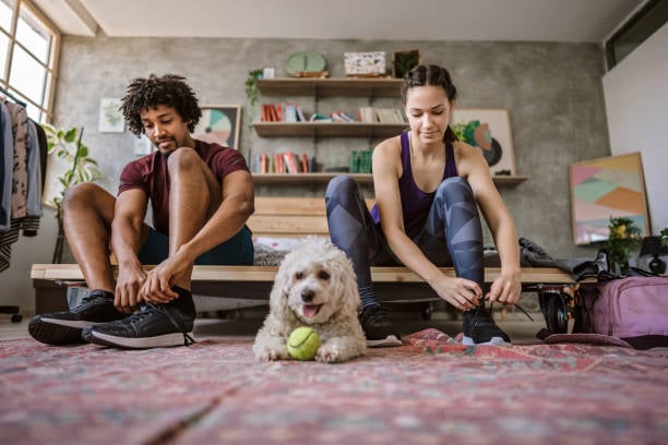 Implementing a Canine Fitness Program