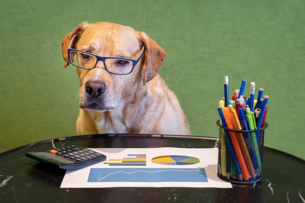 Spring Forward: Preparing Your Pet-Care Business for Q2