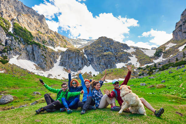 Team Building Activities for Your Pet-Care Staff