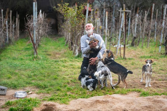 older dog kennel owner hugging and playing with a pack of dogs outside