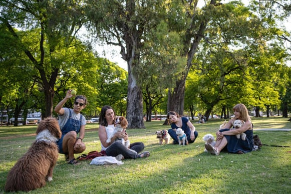 A group of pet parents and their dogs sit outside together