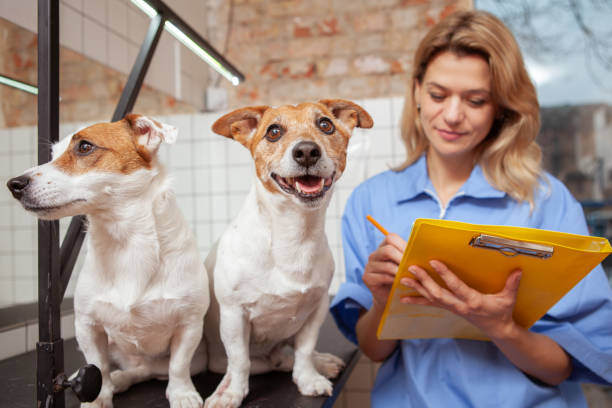 Creating a Two-Way Communication Channel in Your Pet-Care Business