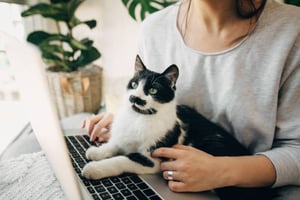 Pet-Care Business Social Media Marketing: A Crash Course