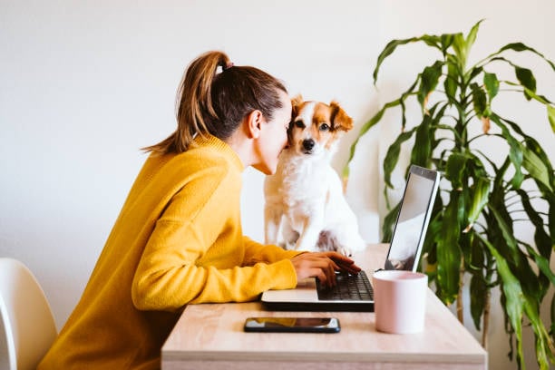 Integrating New Technologies into Dog Daycare