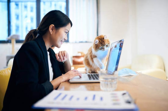 istockphoto-1221003619-612x612