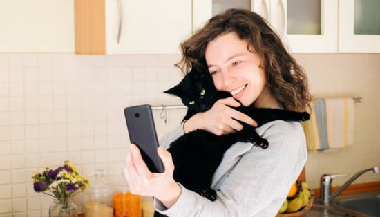 pet parent nuzzling a cat and looking at their phone