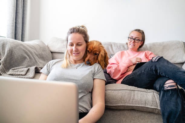 Spring Forward: Preparing Your Pet-Care Business for Q2