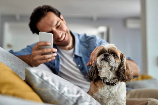 A man uses a phone while sitting with a dog