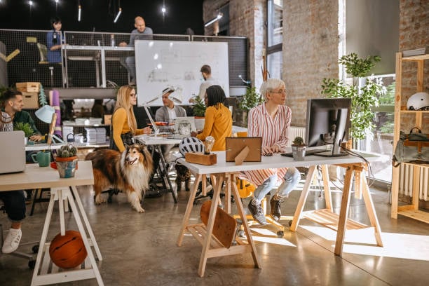 people working in a vibrant pet-friendly coworking space