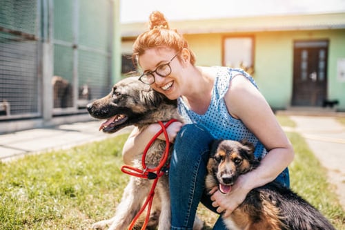Exploring the Types of Dog Daycare Services