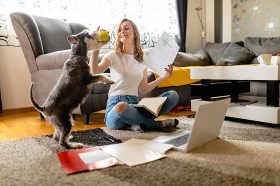 A woman uses a laptop as a dog plays with her