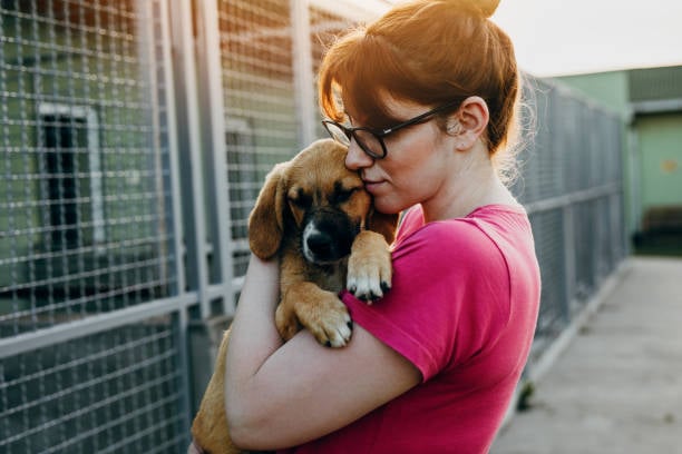 Behavioral Issues: Tips for Dog Daycares