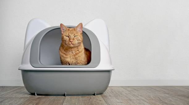 9-best-pet-supplies-companies-for-pet-care-businesses