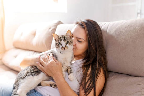 A cat and owner sit together